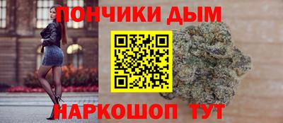 гашик Будённовск