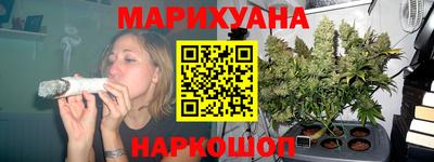 гашик Будённовск