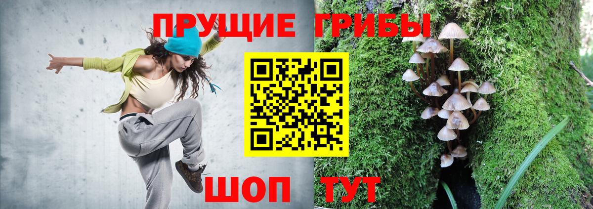 Ялта  Галлюциногенные грибы прущие грибы  Галлюциногенные грибы мицелий  Вход с VPN 
